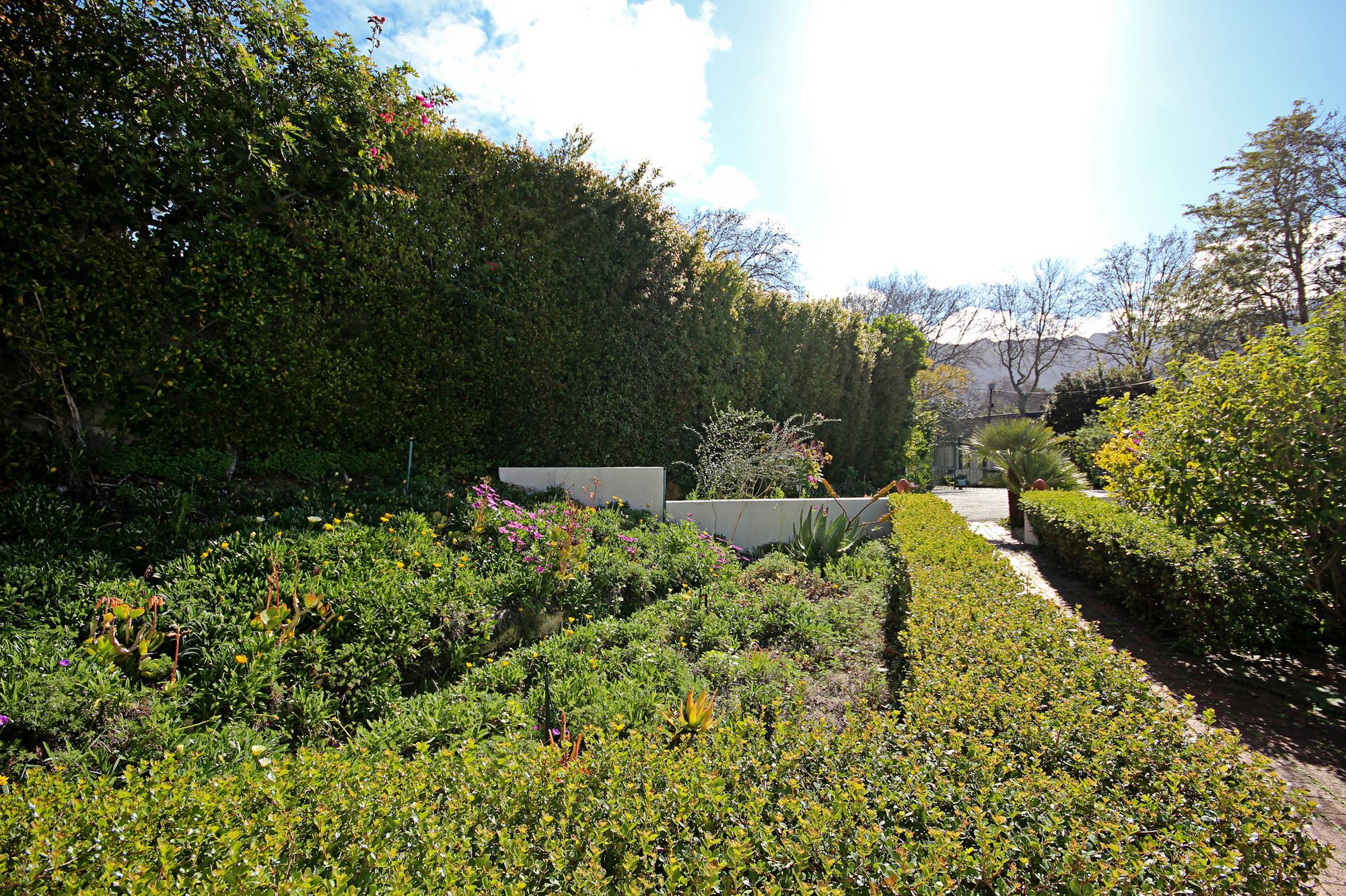 Beluga Of Constantia Guest House Kaapstad Buitenkant foto